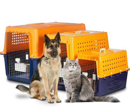 Proper pet crates for safe shipping